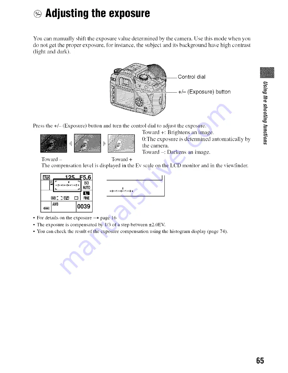 Sony Alpha 100 User'S Manual / Troubleshooting Download Page 65