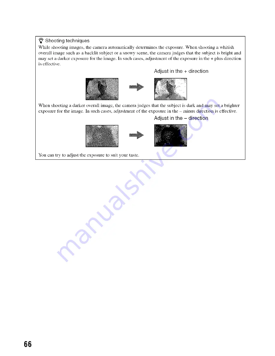 Sony Alpha 100 User'S Manual / Troubleshooting Download Page 66