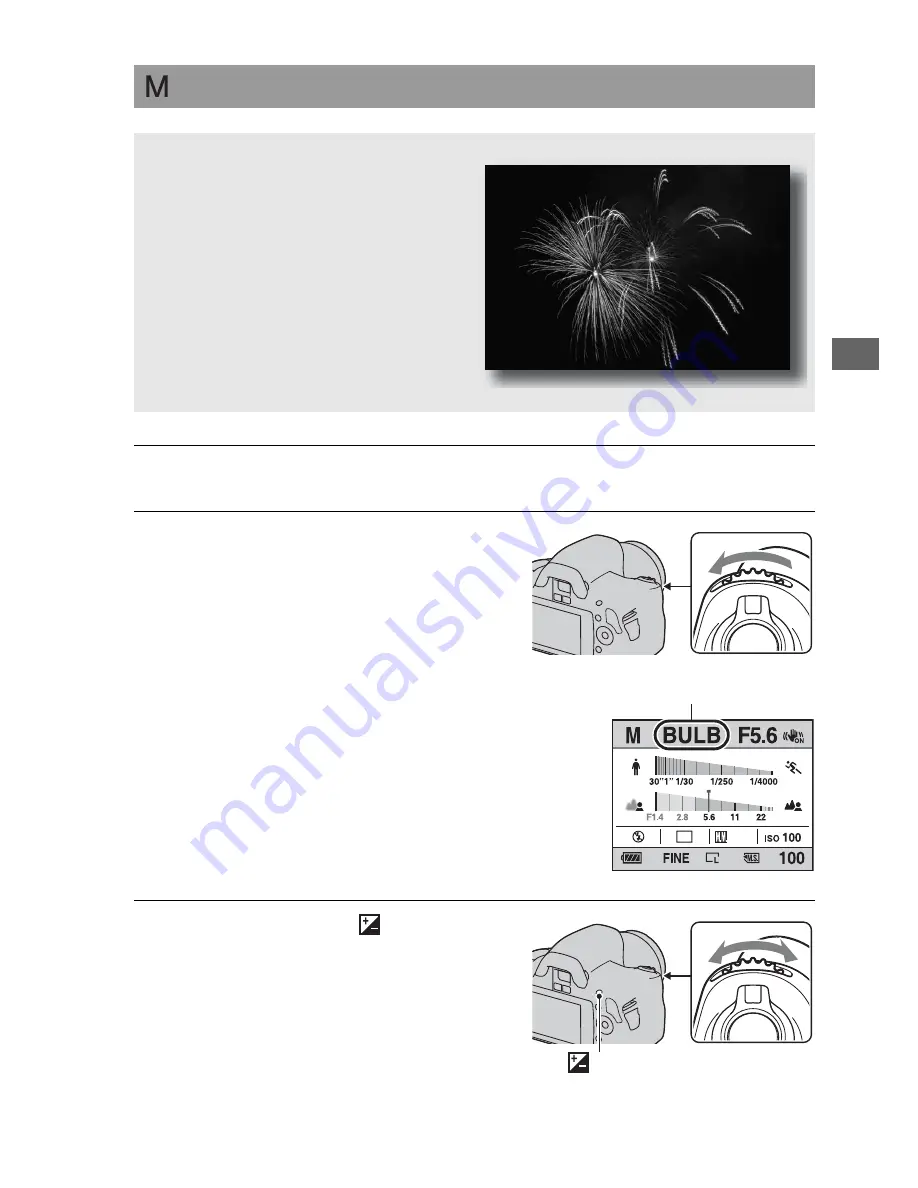 Sony Alpha DSLR-A290 Instruction Manual Download Page 67