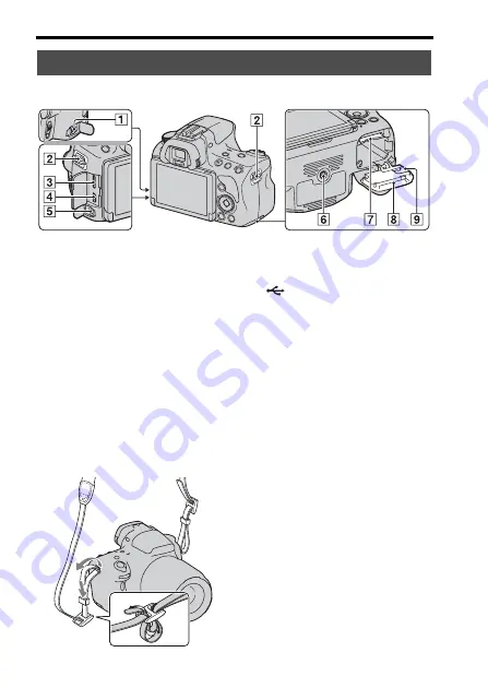 Sony Alpha SLT-A37 Instruction Manual Download Page 12