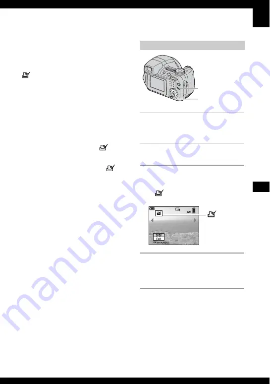 Sony Cyber-shot DSC-H2 User'S Manual / Troubleshooting Download Page 89