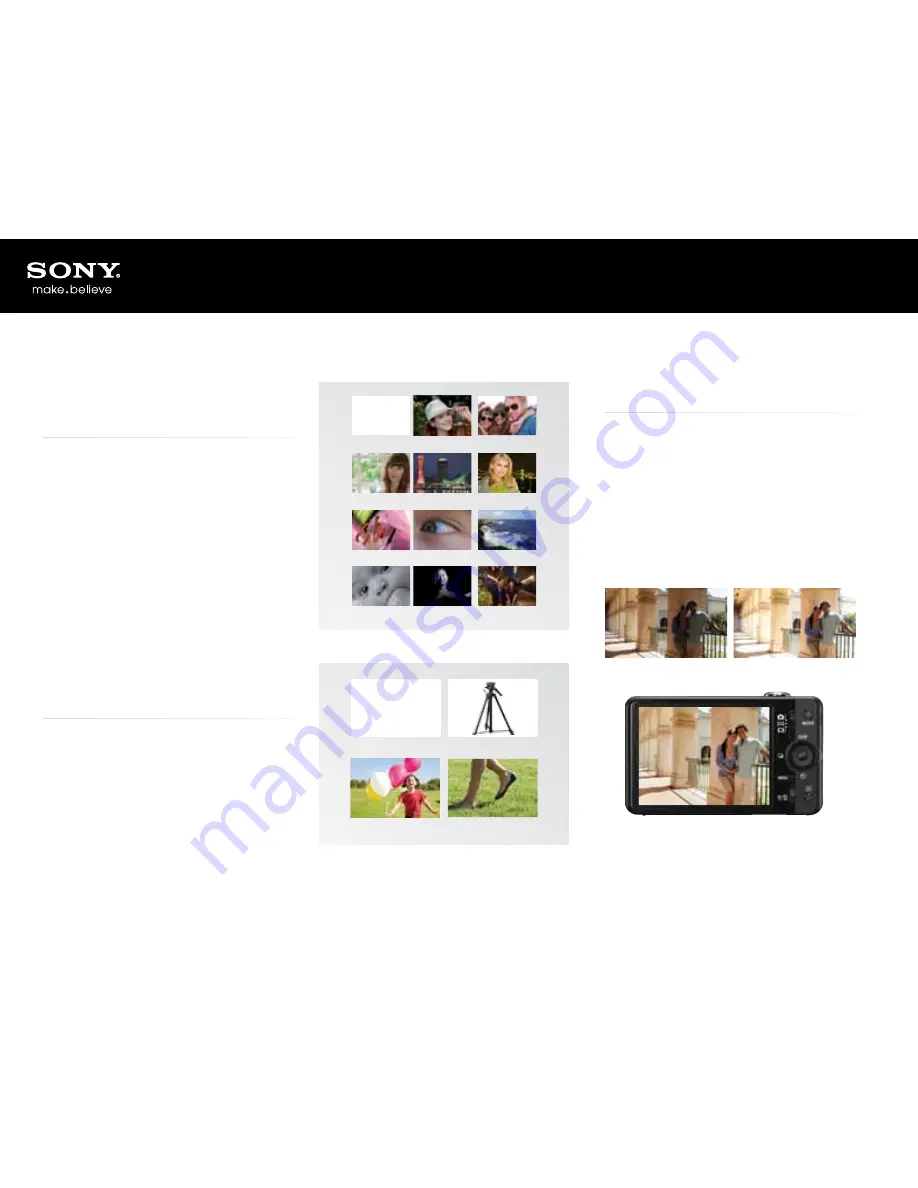 Sony Cyber-Shot DSC-HX10V Product Manual Download Page 14