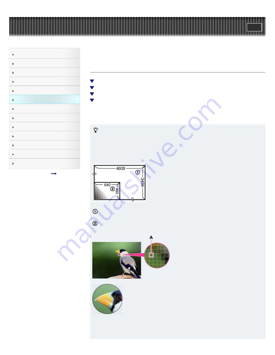 Sony Cyber-Shot DSC-HX9 User Manual Download Page 117