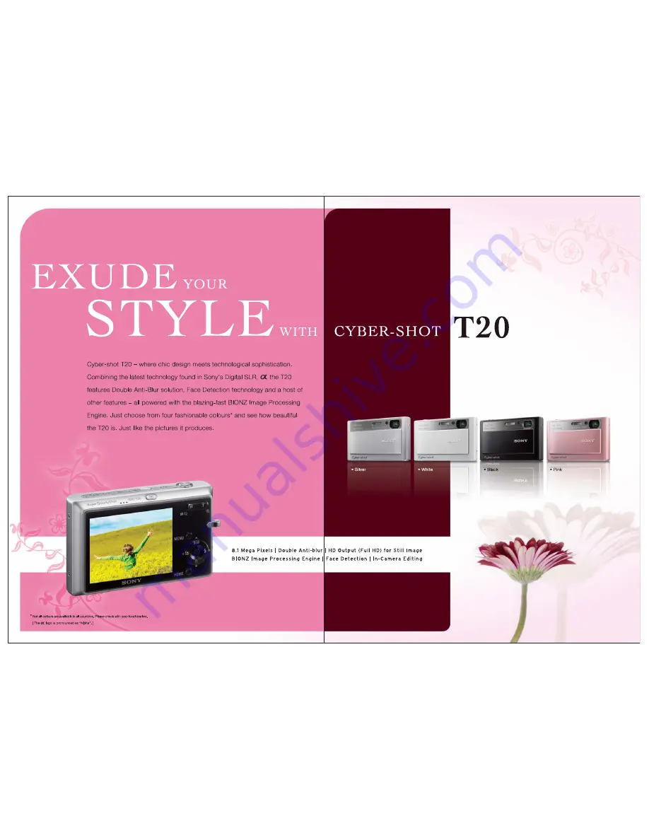 Sony Cyber-shot DSC-T20 Brochure & Specs Download Page 2