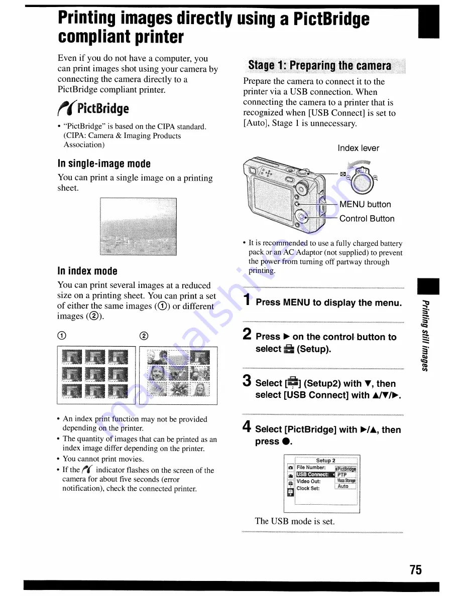 Sony Cyber-shot DSC-W100 User Manual Download Page 75