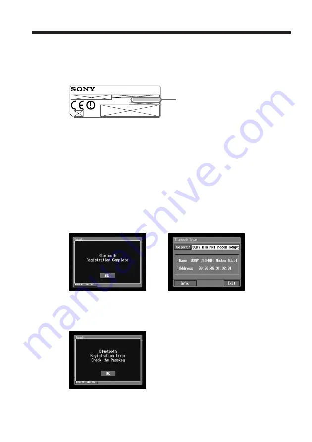 Sony DCR-IP220E Network Operating Instructions Download Page 22