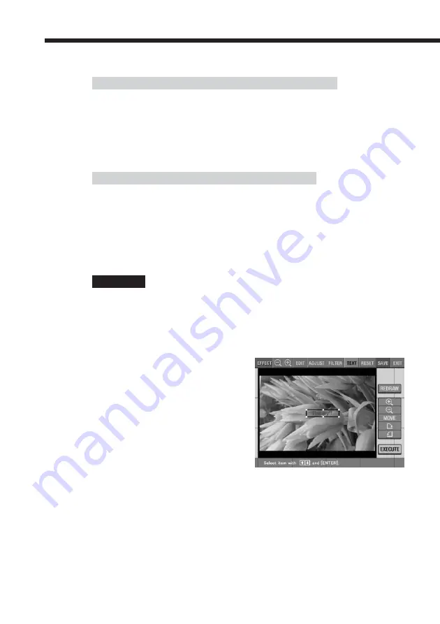 Sony DPP-EX5 Operating Instructions Manual Download Page 118