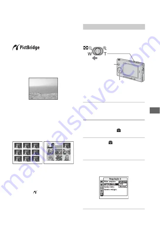 Sony DSC-T7 Fall 2005 Operating Instructions Manual Download Page 173