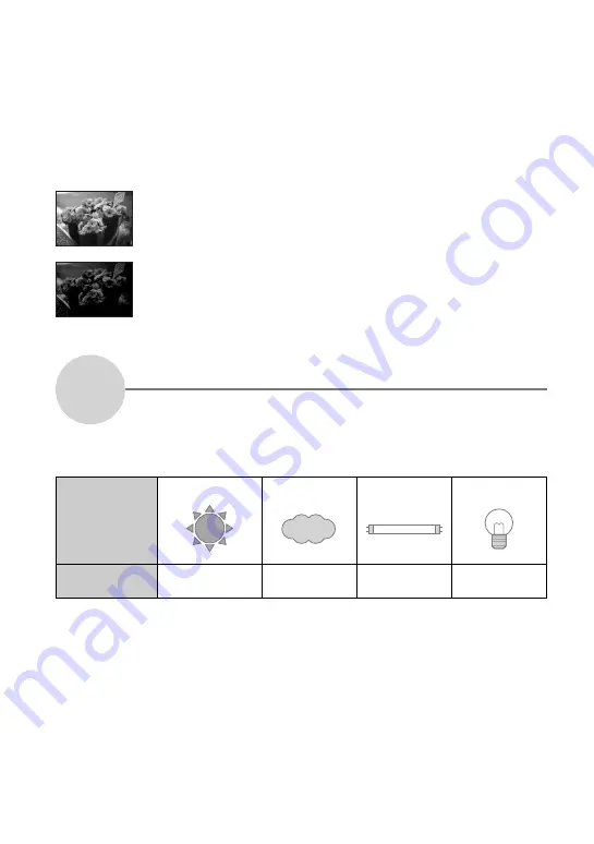 Sony DSC-W7/B User'S Manual / Troubleshooting Download Page 12