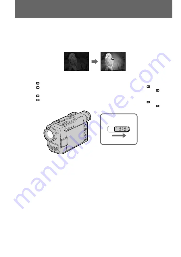 Sony Handycam Vision DCR-TRV9E Скачать руководство пользователя страница 40