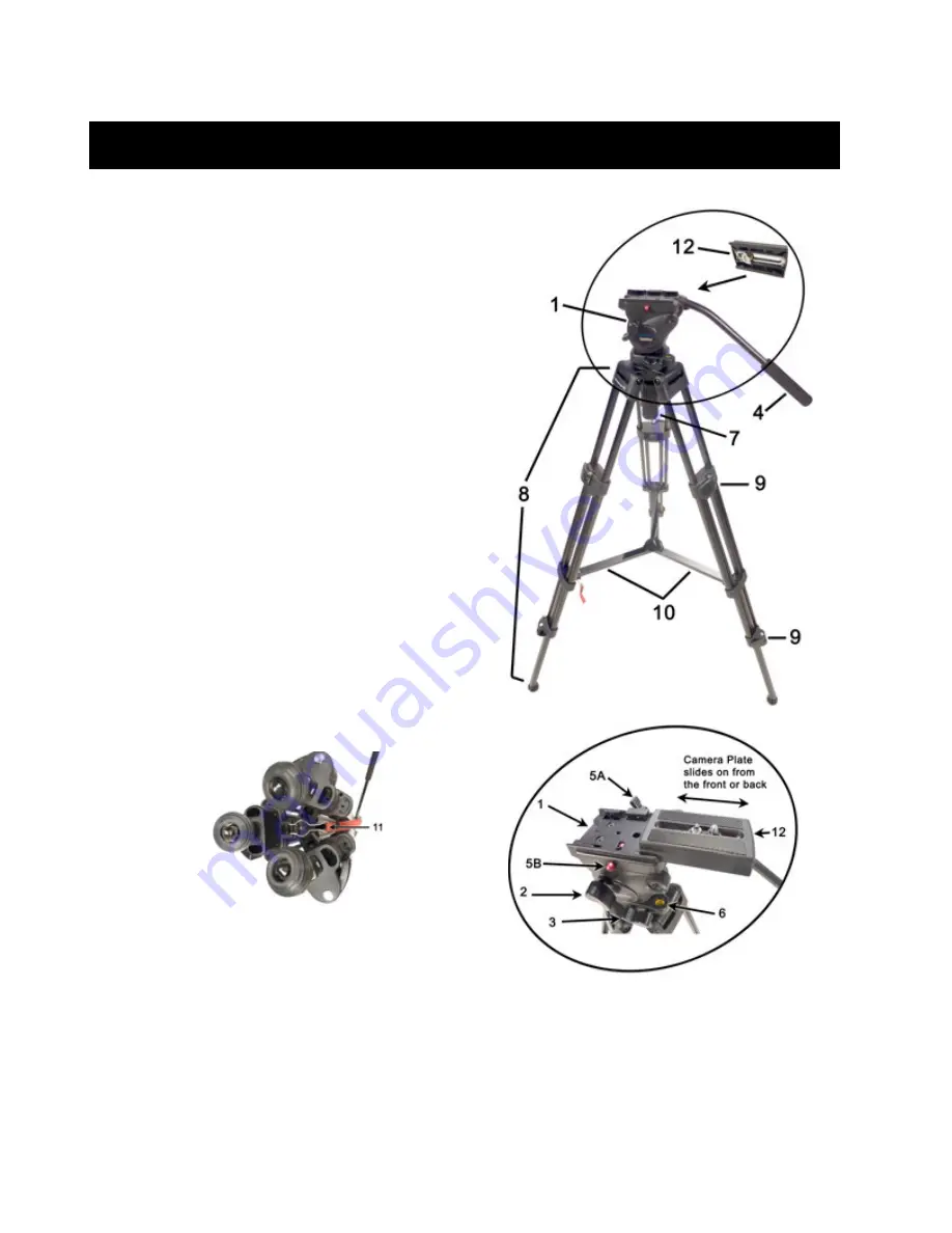 Sony HXR-NX70U Study Manual Download Page 4