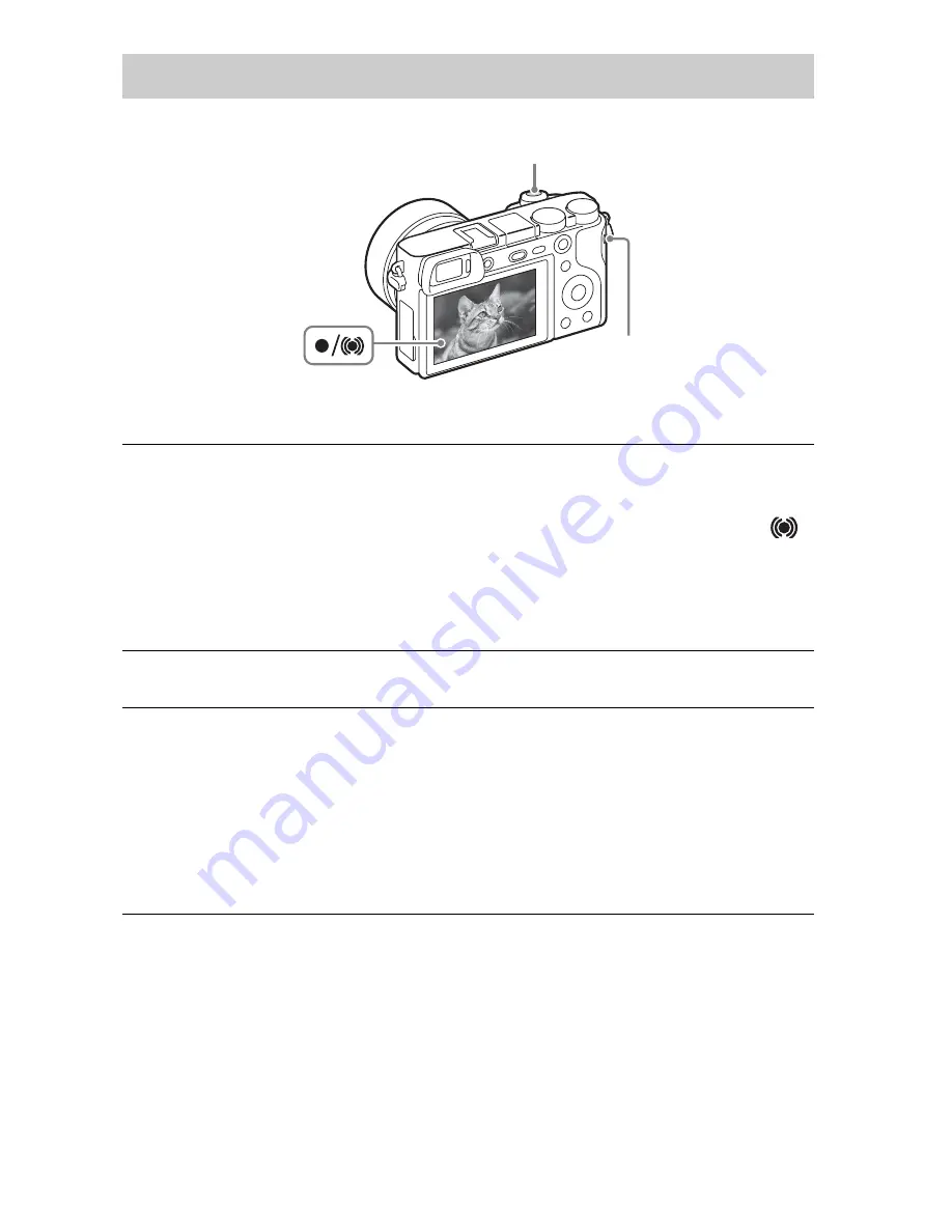 Sony ILCE-6000 Instruction Manual Download Page 250