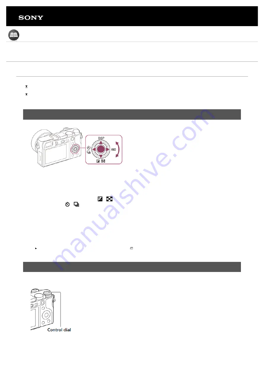 Sony ILCE-6100 Tutorials Manual Download Page 19