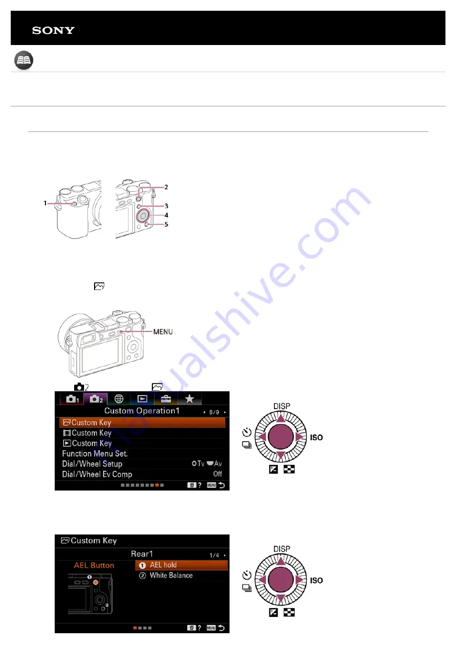 Sony ILCE-6100 Tutorials Manual Download Page 21