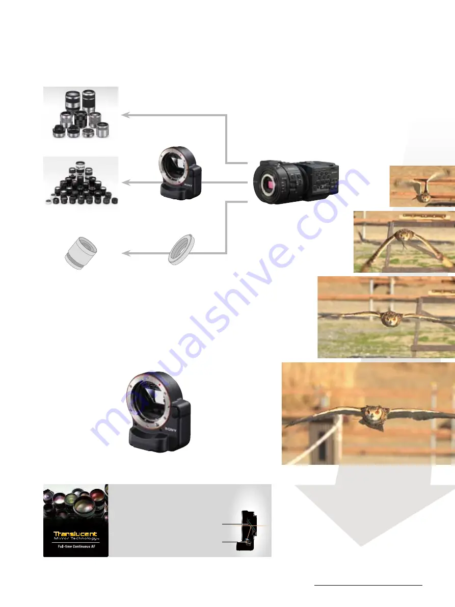 Sony NEX-FS700R Brochure & Specs Download Page 5