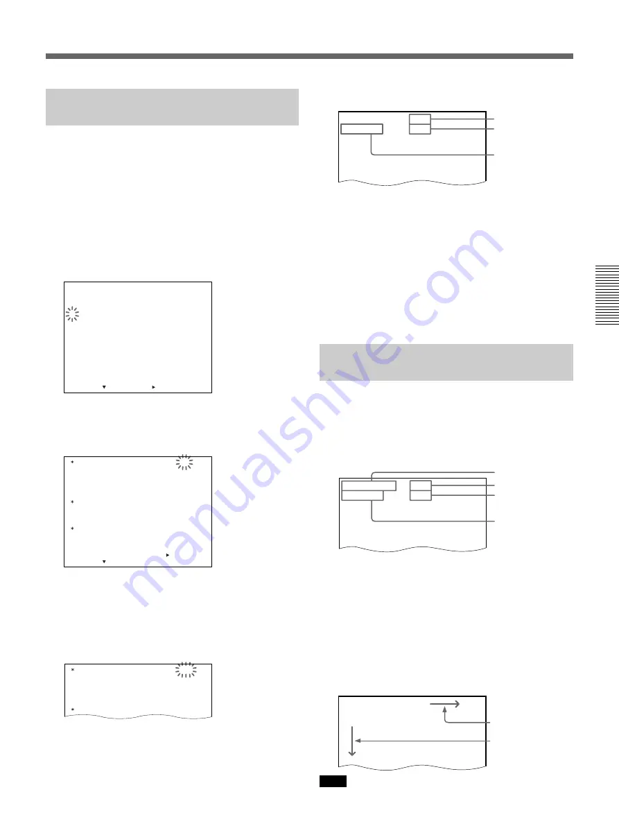 Sony SVT-40E Operating Instructions Manual Download Page 127