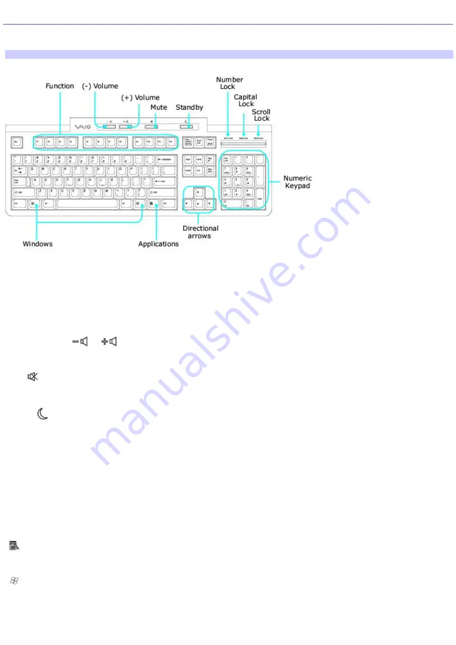 Sony VAIO PCV-RS512 Скачать руководство пользователя страница 13