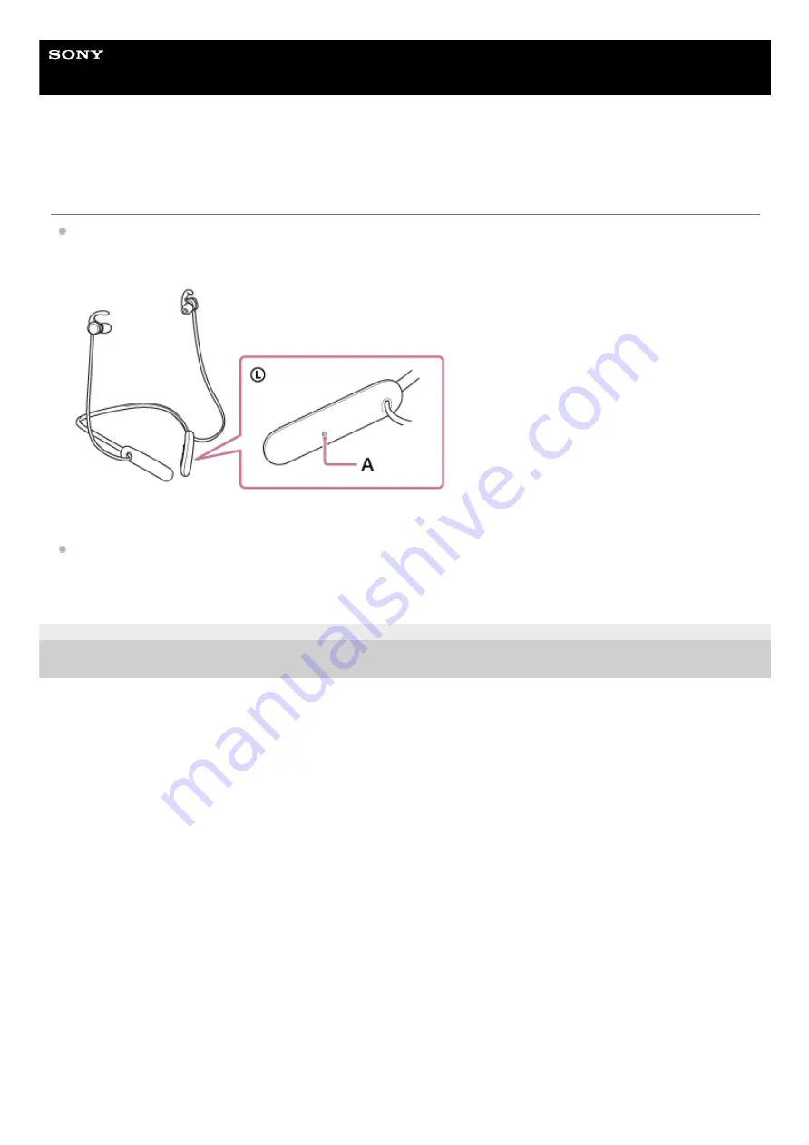 Sony WI-SP510 Help Manual Download Page 107