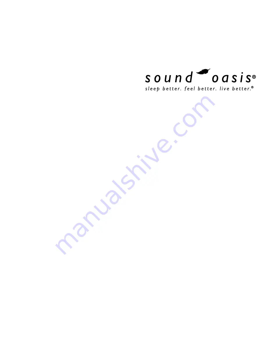 Sound Oasis BST-80-20 Скачать руководство пользователя страница 2