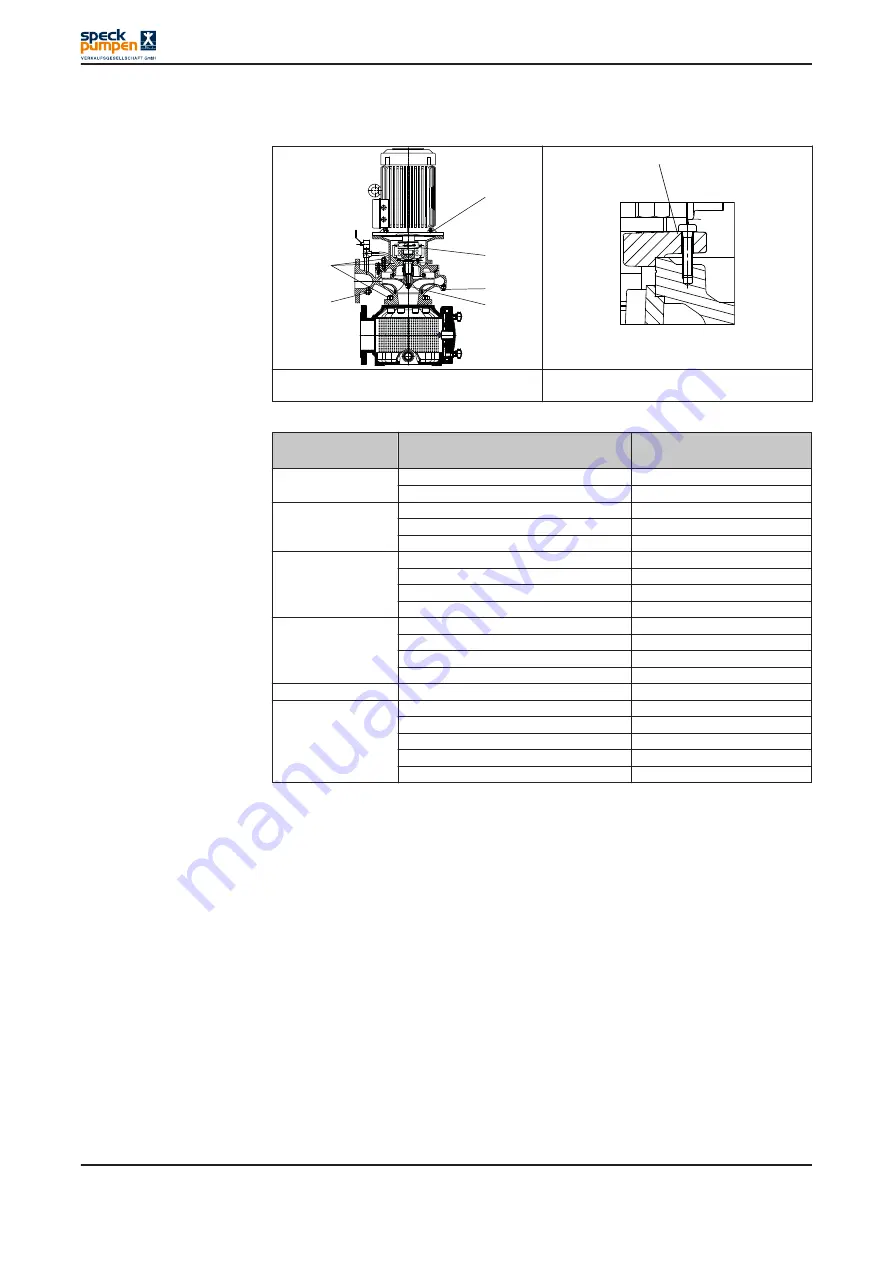 Speck pumpen BADU Block Series Скачать руководство пользователя страница 40