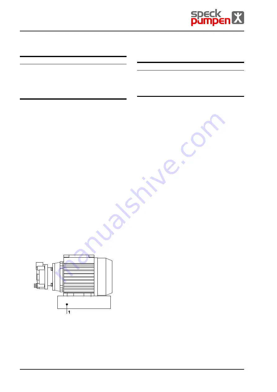 Speck pumpen CSY Series Скачать руководство пользователя страница 12