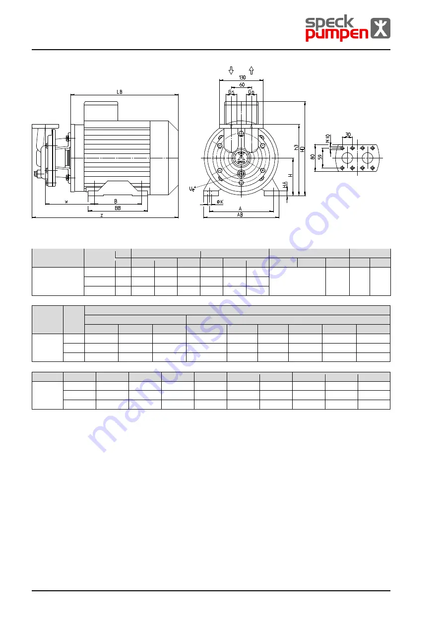 Speck pumpen CSY Series Скачать руководство пользователя страница 54