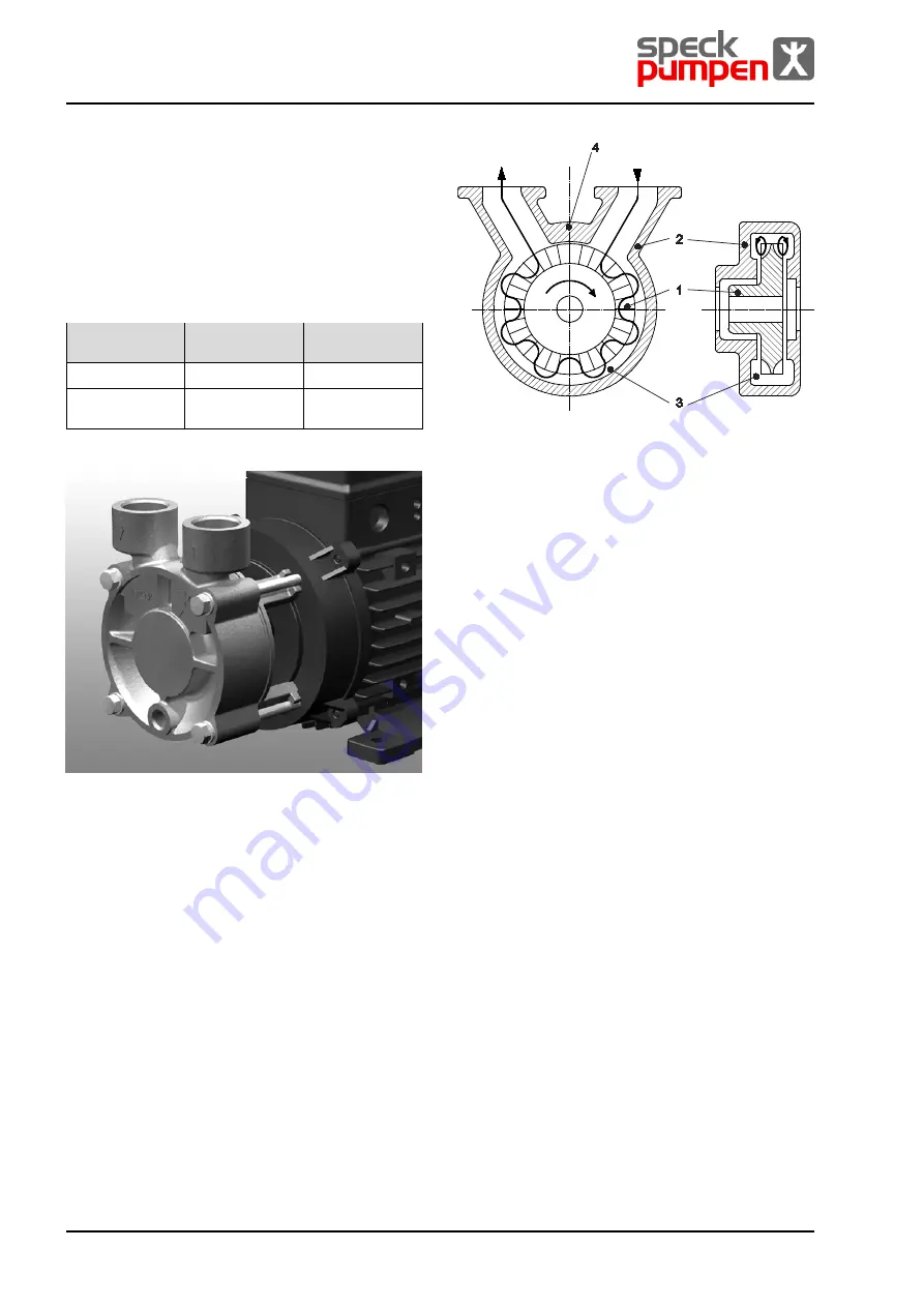 Speck pumpen CSY Series Operating Instructions Manual Download Page 68