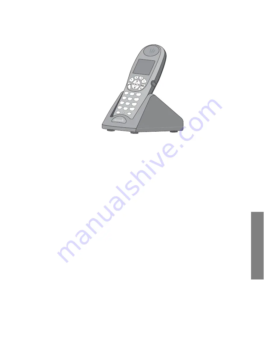 SpectraLink NetLink 8000 User Manual Download Page 33