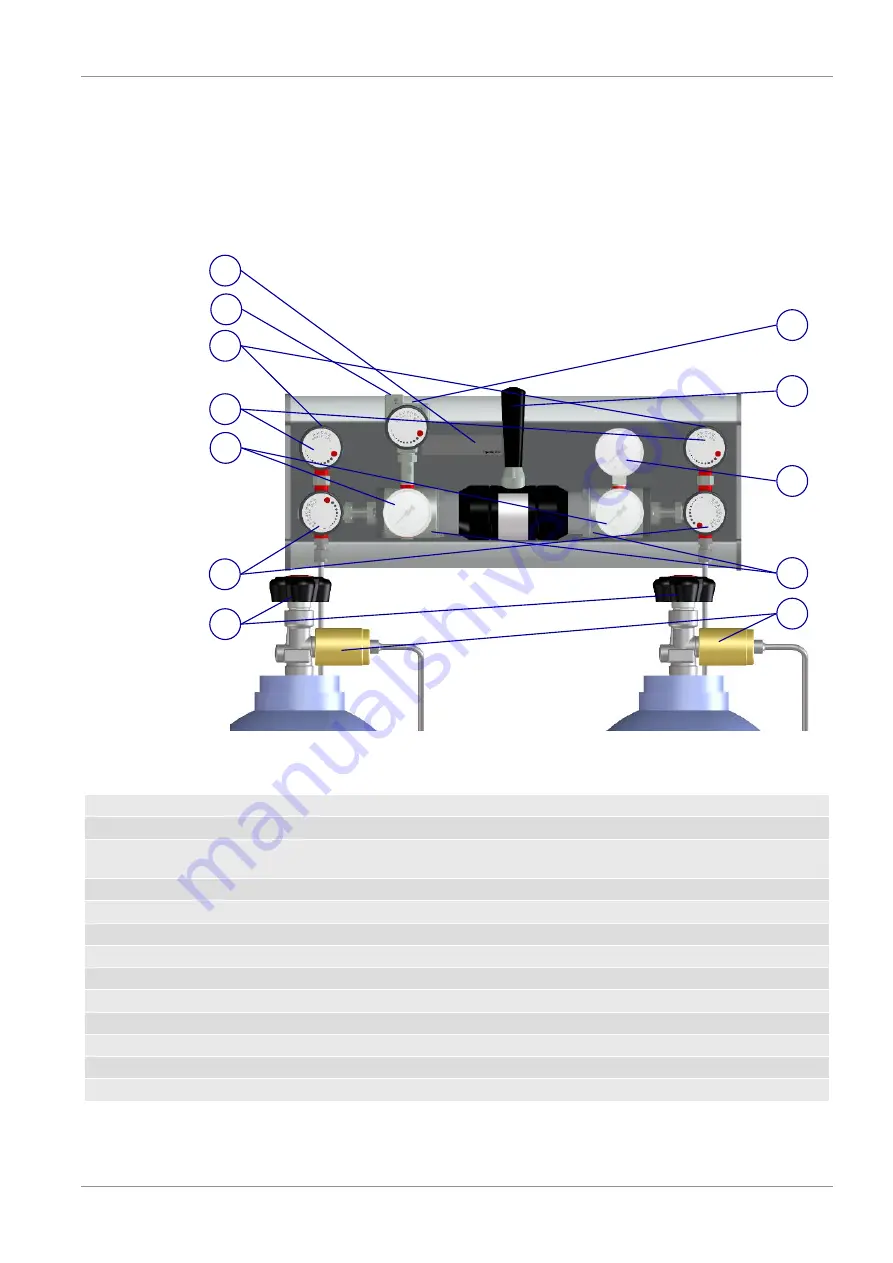 Spectron BM55-2U User Manual Download Page 13