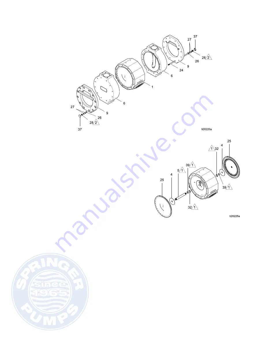 Springer ChemSafe 1590 Instructions - Parts Manual Download Page 19