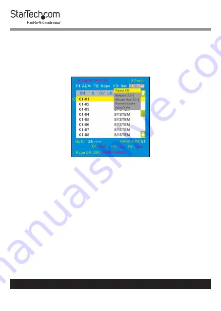 StarTech.com RKCONS1916K User Manual Download Page 31