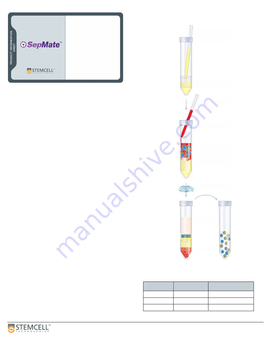 STEMCELL SepMate 50 Скачать руководство пользователя страница 1