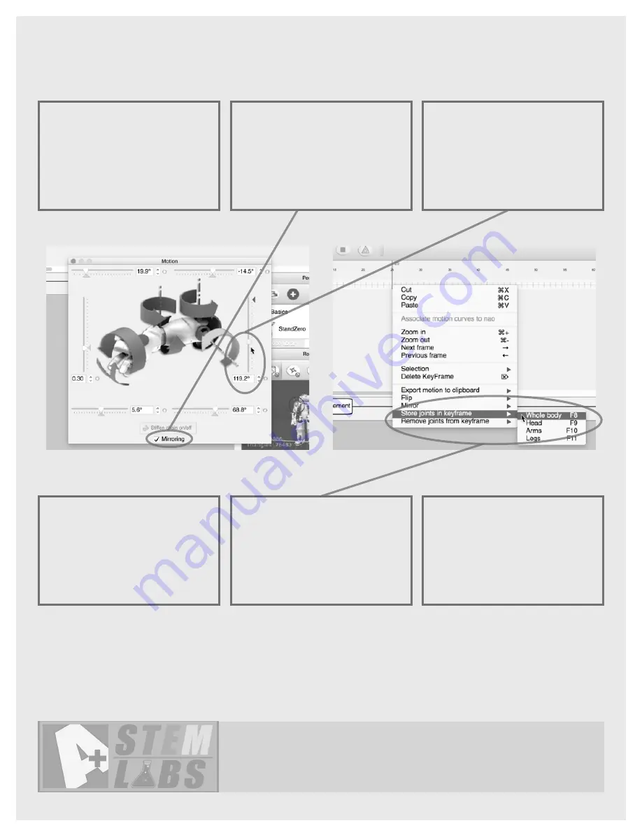 STEMLABS NAO Скачать руководство пользователя страница 30