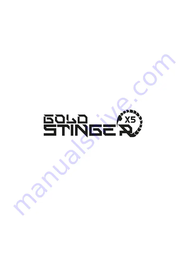 Stinger GOLD STINGER X5 Скачать руководство пользователя страница 2