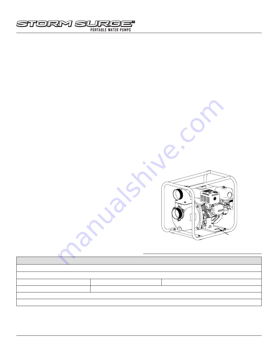 Storm Surge SS20ST Operator'S Manual Download Page 22