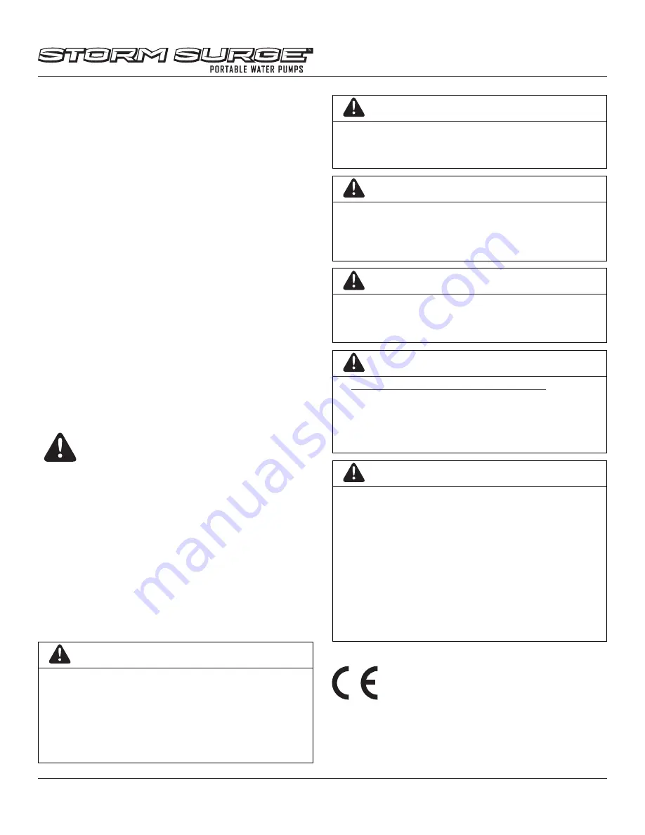 Storm Surge SS20T Operator'S Manual Download Page 4