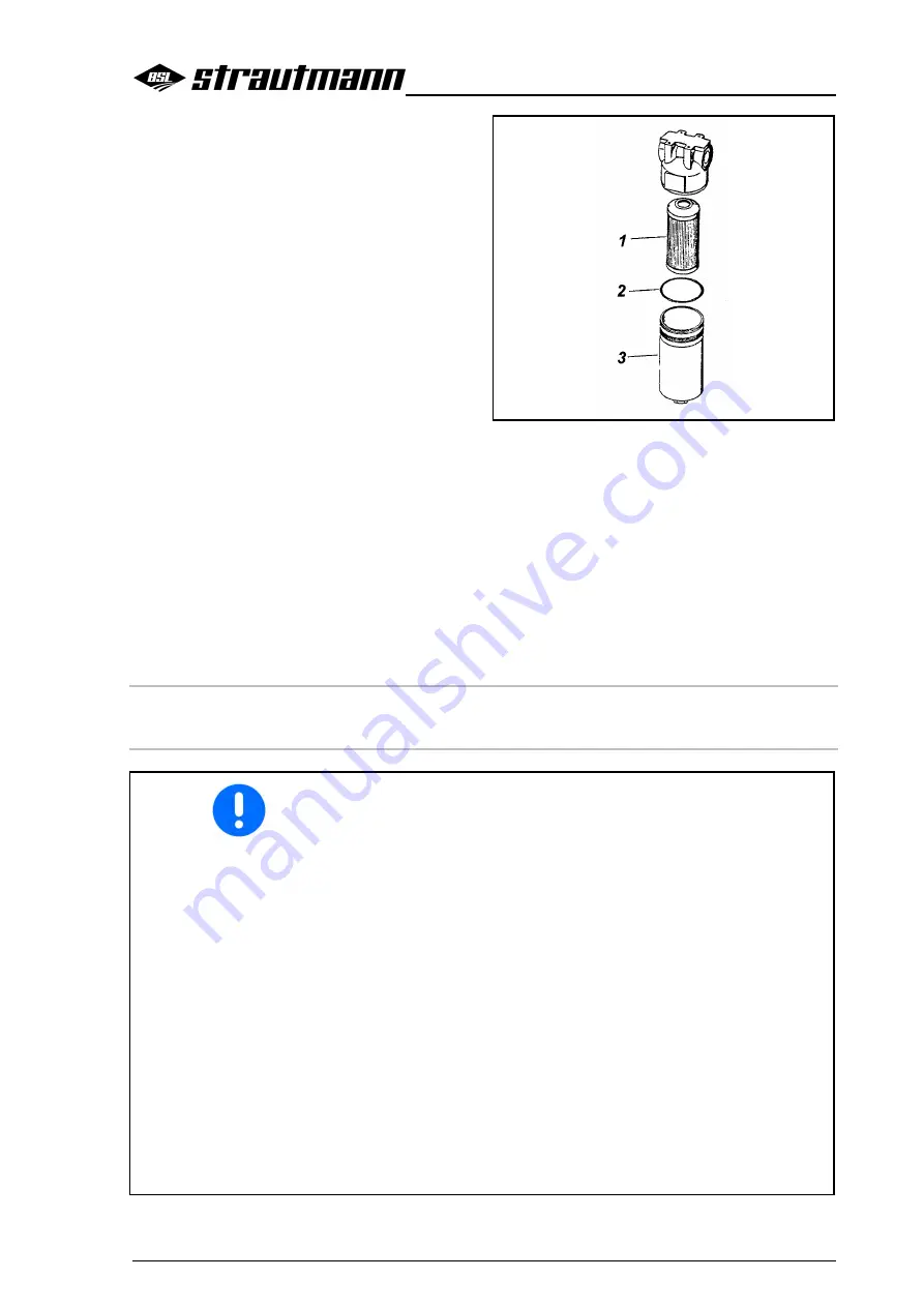 Strautmann Super-Vitesse CFS 3101 Operating Instructions Manual Download Page 195