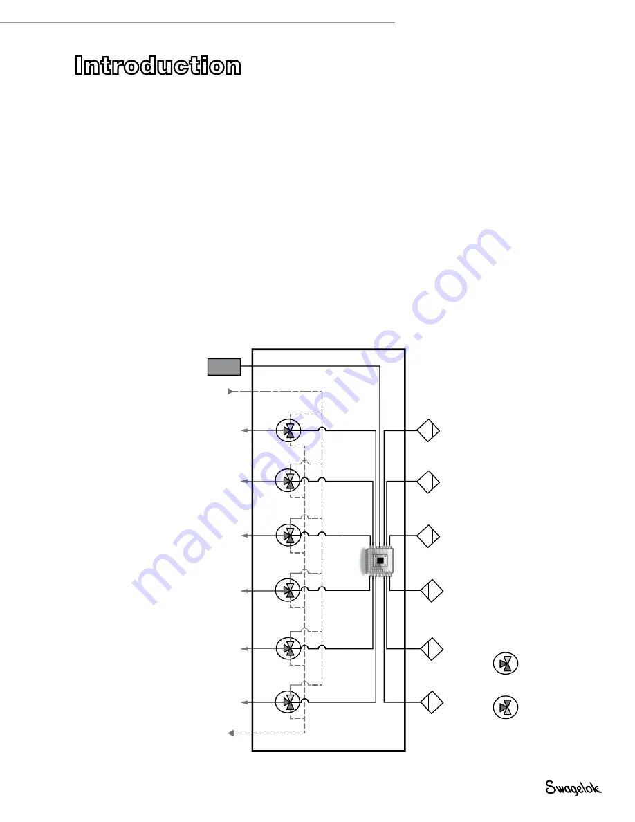 Swagelok VCM User Manual Download Page 3