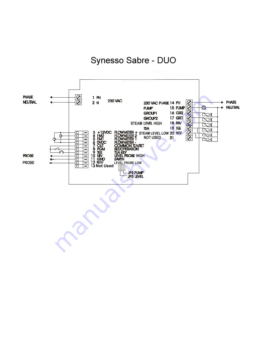 Synesso Sabre Owner'S Manual Download Page 9