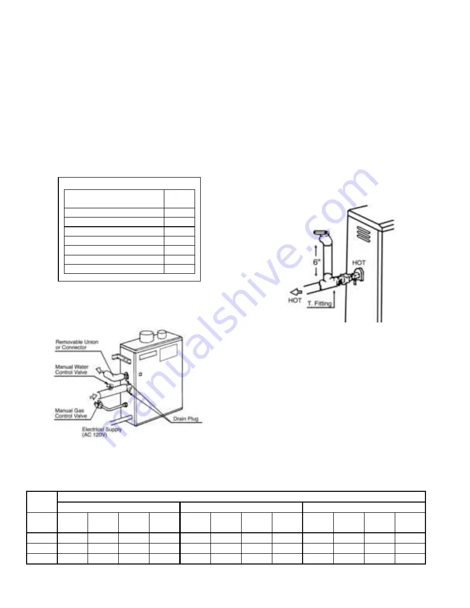 Takagi Flash Water Heater T-KD20 Скачать руководство пользователя страница 10