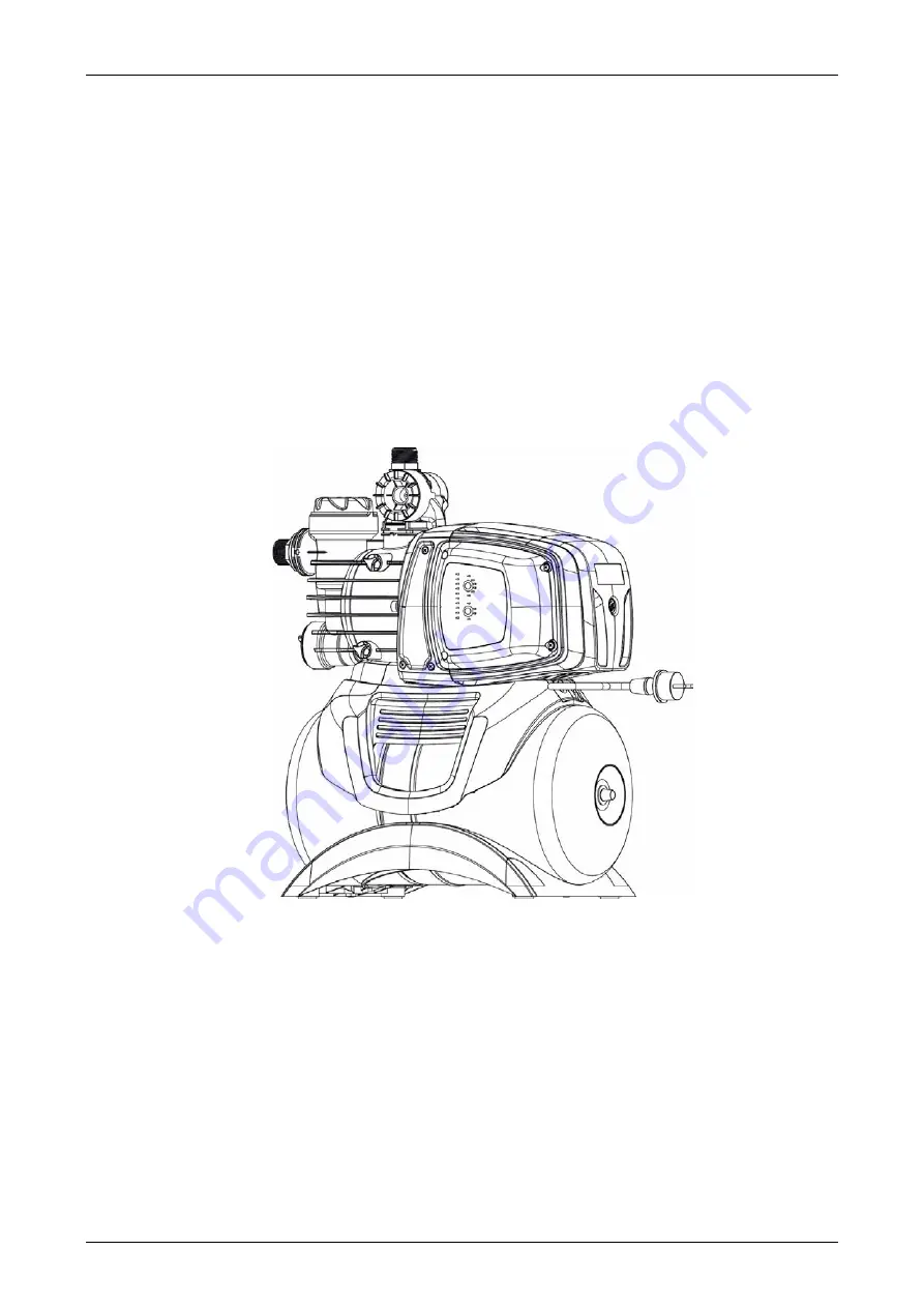 Tallas Pumps D-Boost Series Instruction For Installation And Maintenance Download Page 1