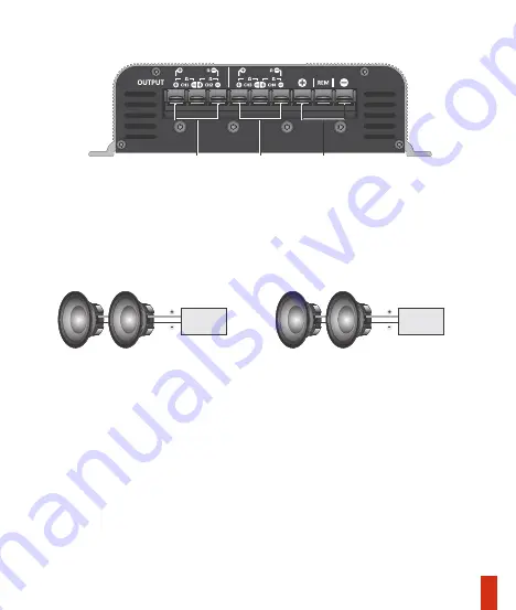 Taramps Electronics DS250X2 Скачать руководство пользователя страница 5