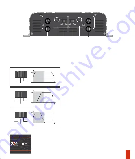 Taramps Electronics DS250X2 Скачать руководство пользователя страница 9