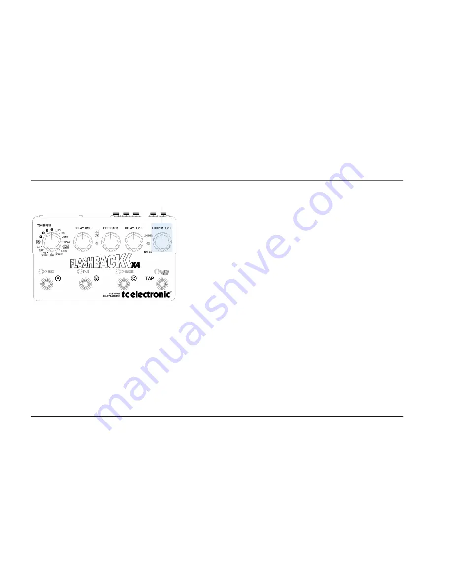 TC Electronic FLASHBACK X4 User Manual Download Page 22