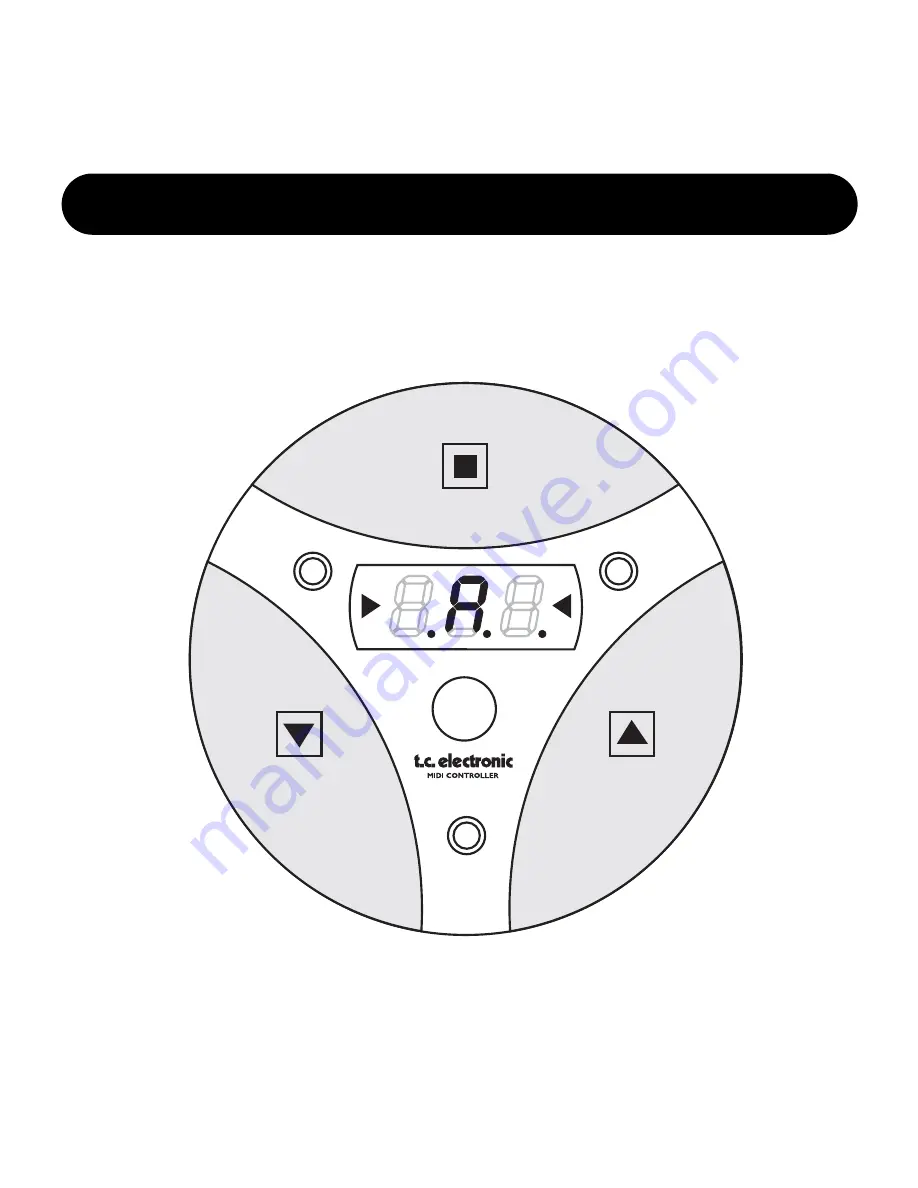 TC Electronic G-MINOR User Manual Download Page 5