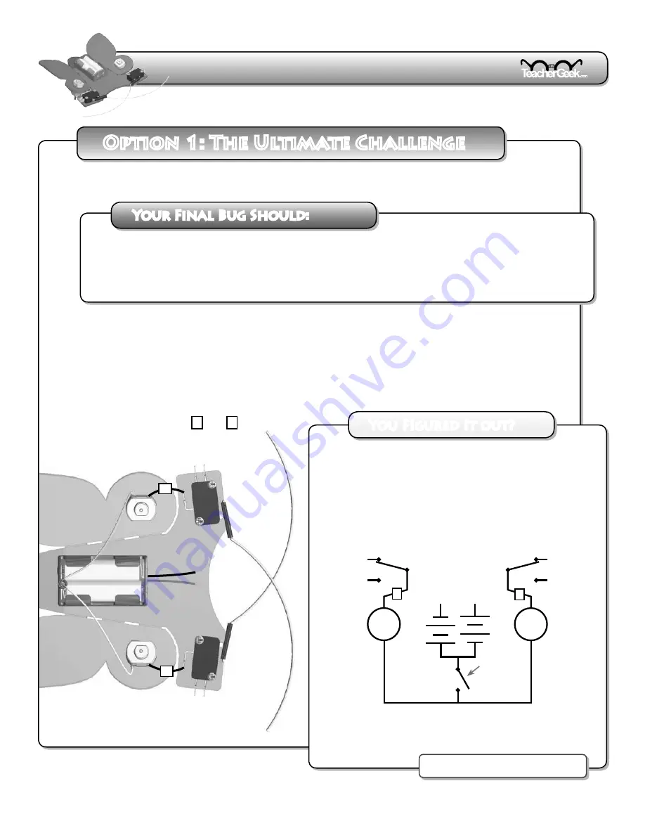 TeacherGeek Catch The Bug Instruction Download Page 4