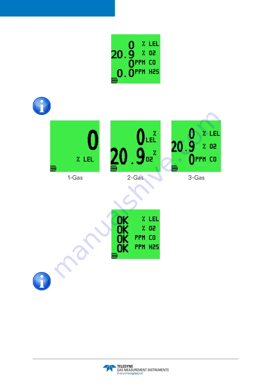 Teledyne GMI PS200 User Manual Download Page 13