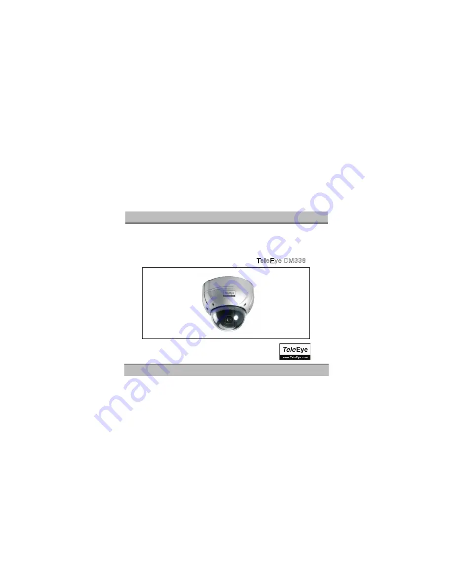 TeleEye DM338 User Manual Download Page 1