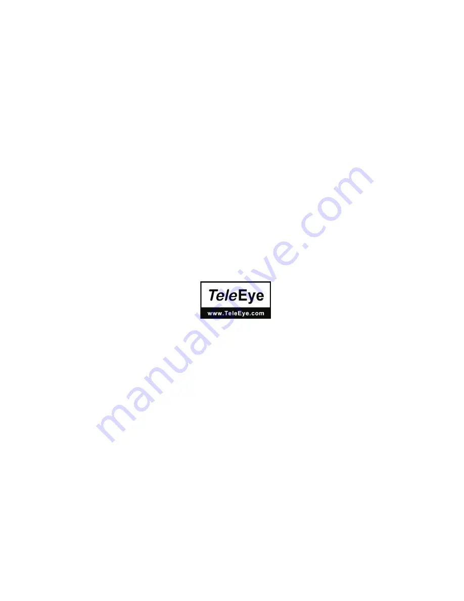 TeleEye DM338 User Manual Download Page 2