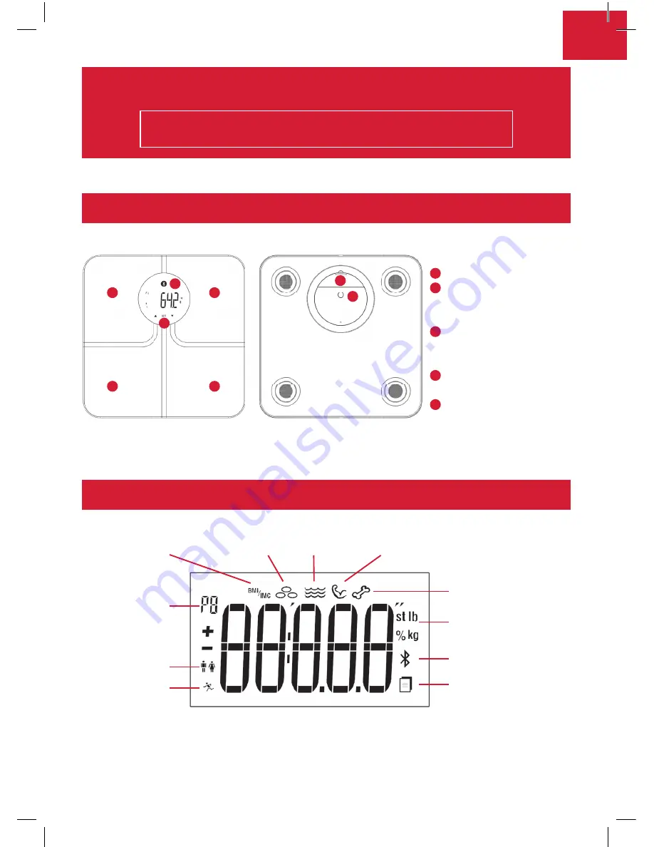 Terraillon R-Link User Manual Download Page 19